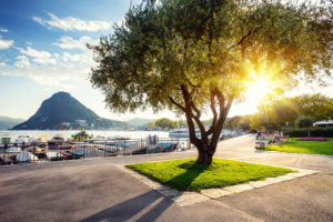 Promenade at Lake Lugano,Lugano,Ticino,Switzerland Promenade at Lake Lugano,Lugano,Ticino,Switzerland